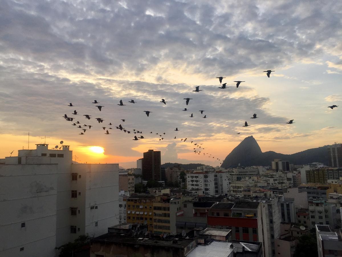 Ferienwohnung Loft Catete Rio de Janeiro Exterior foto